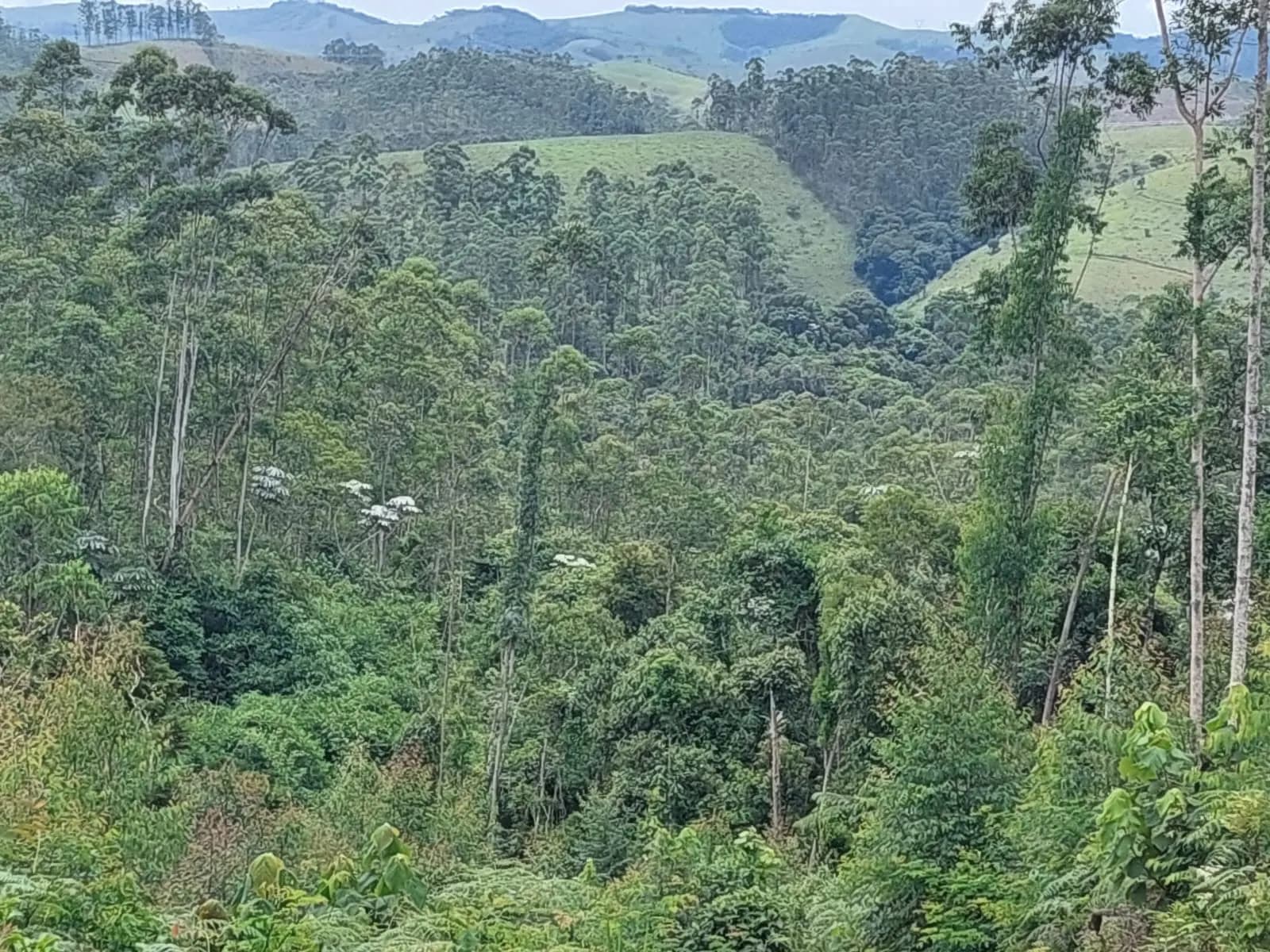 Fazenda – 584,80 alq. – Fazenda Santo Agostinho – Igaratá/SP, foto 3