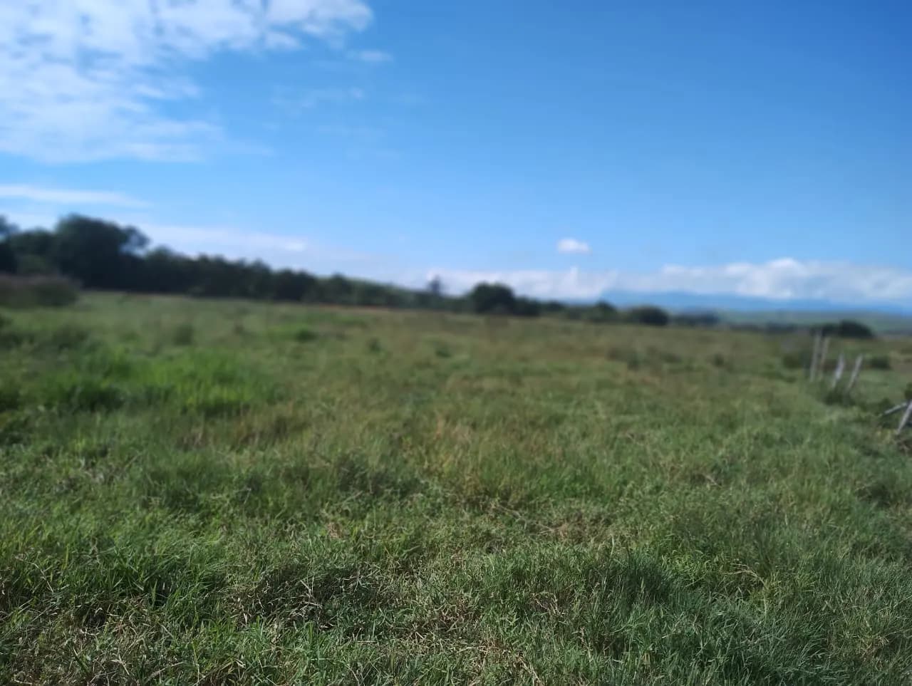 Terreno (Gleba) – 107.369 m² – Várzea Alegre – Cruzeiro/SP, foto 5
