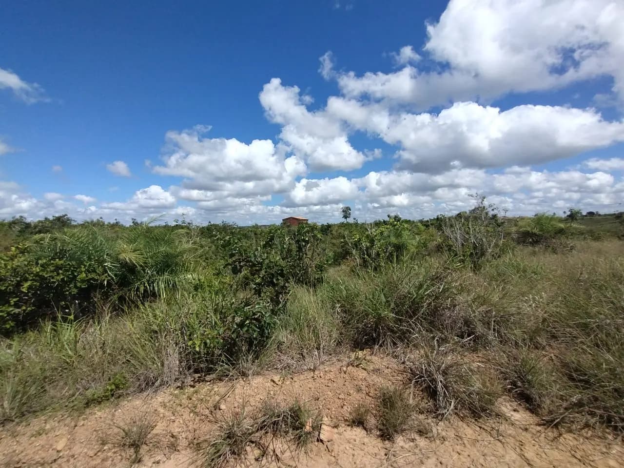 Terreno (Gleba) – 61.080 m² – Lote 03A – Itaporanga d’Ajuda/SE, foto 3