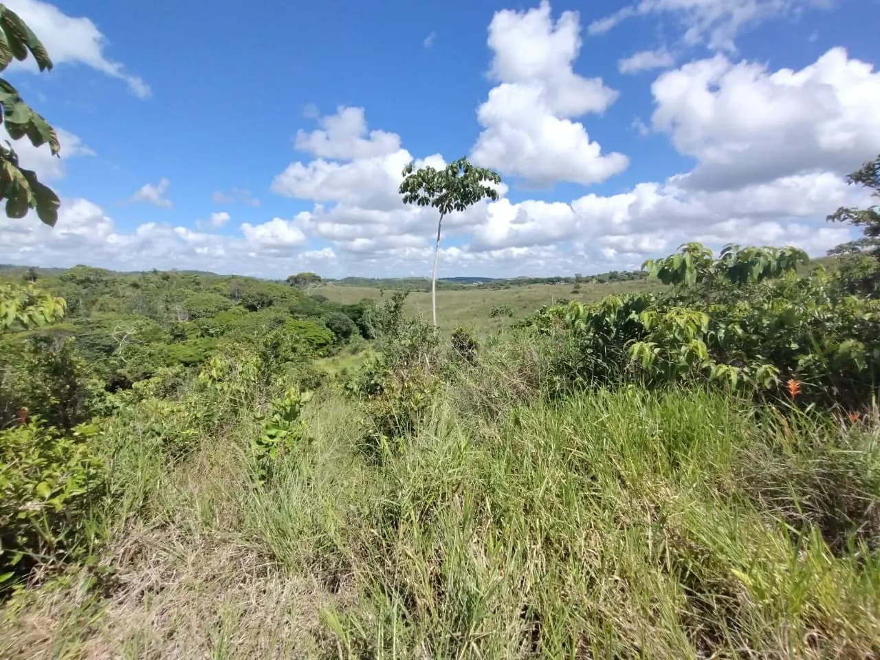 Terreno (Gleba) – 61.080 m² – Lote 03A – Itaporanga d’Ajuda/SE, foto 4