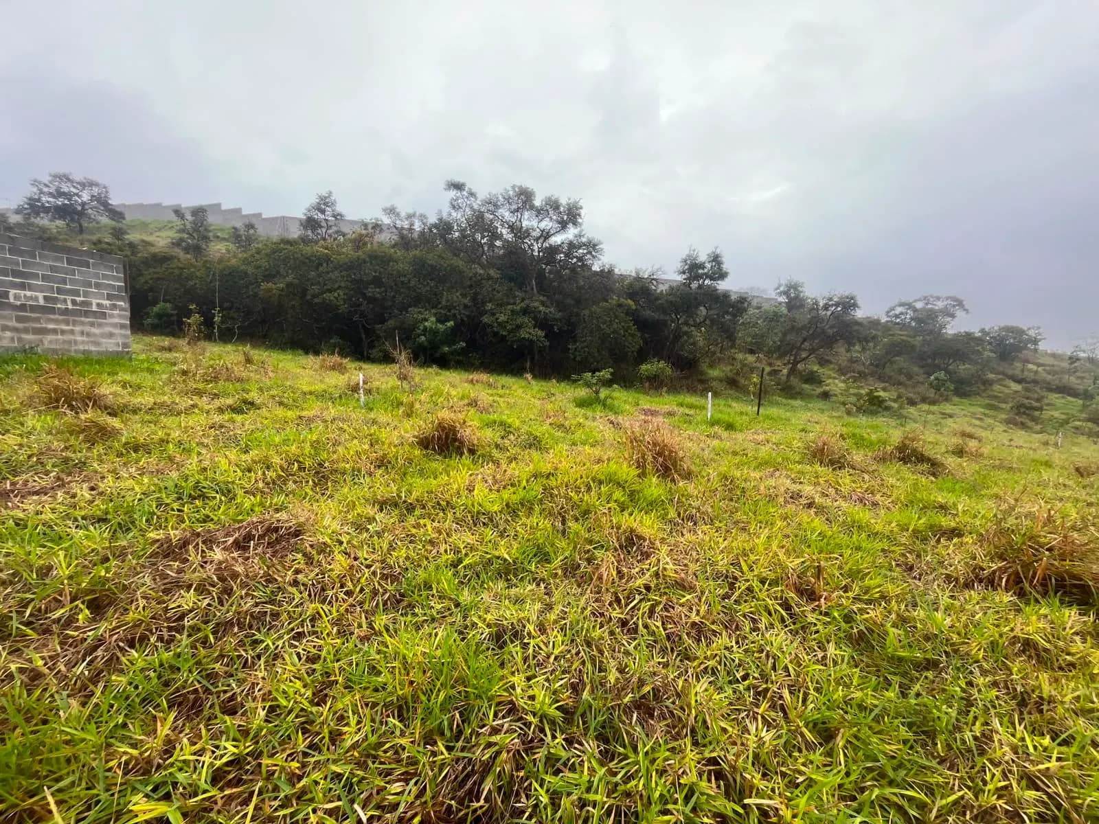 Terreno (Lote) – 753,15 m² – Lote H08 Quadra H – São José dos Campos/SP, foto 4