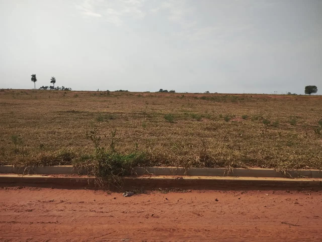 Terreno Urbano – 250 m² – Lote 26 Quadra I – Marília/SP, foto 2