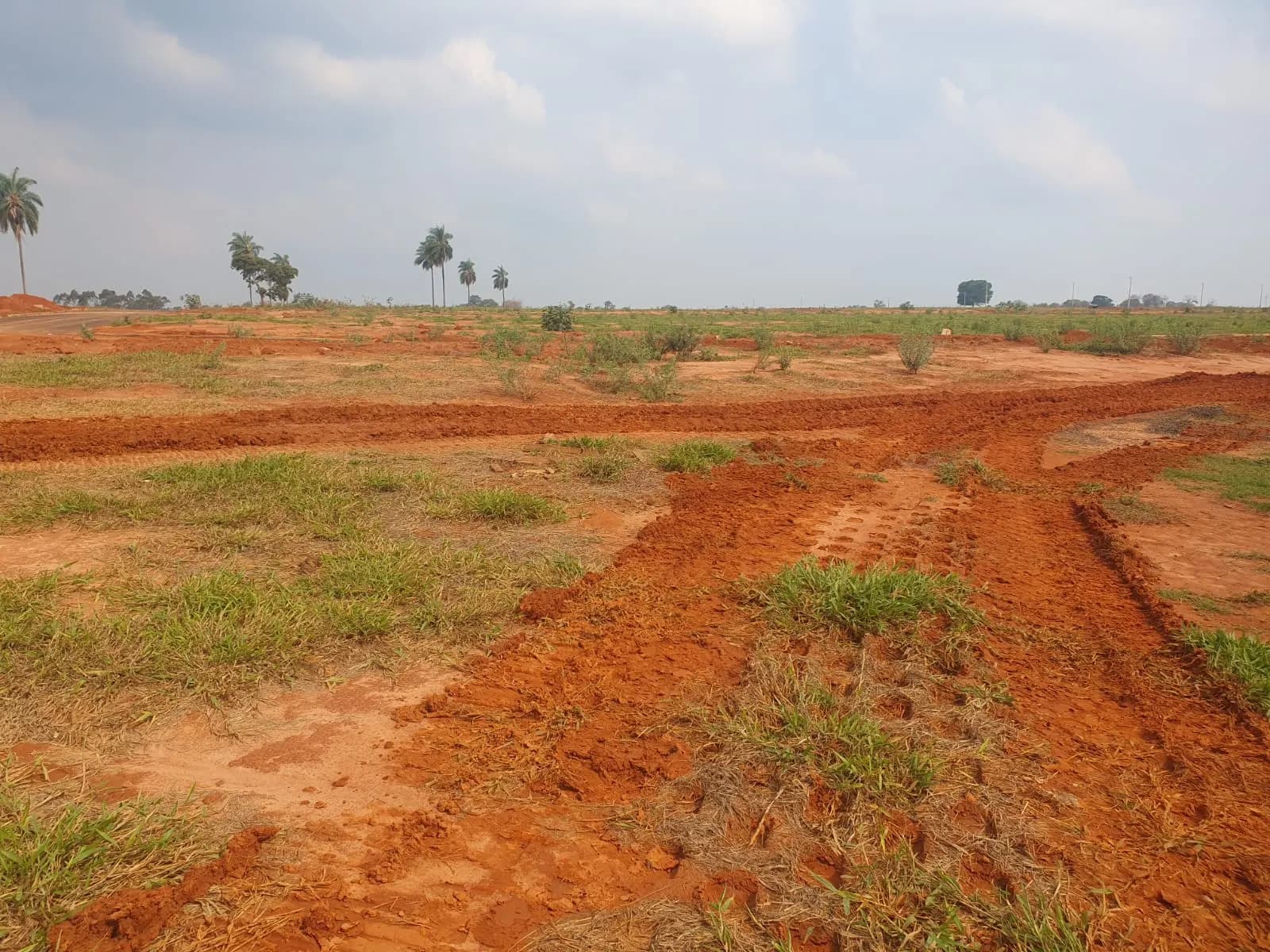 Terreno Urbano – 250 m² – Lote 41 Quadra K – Marília/SP, foto 2
