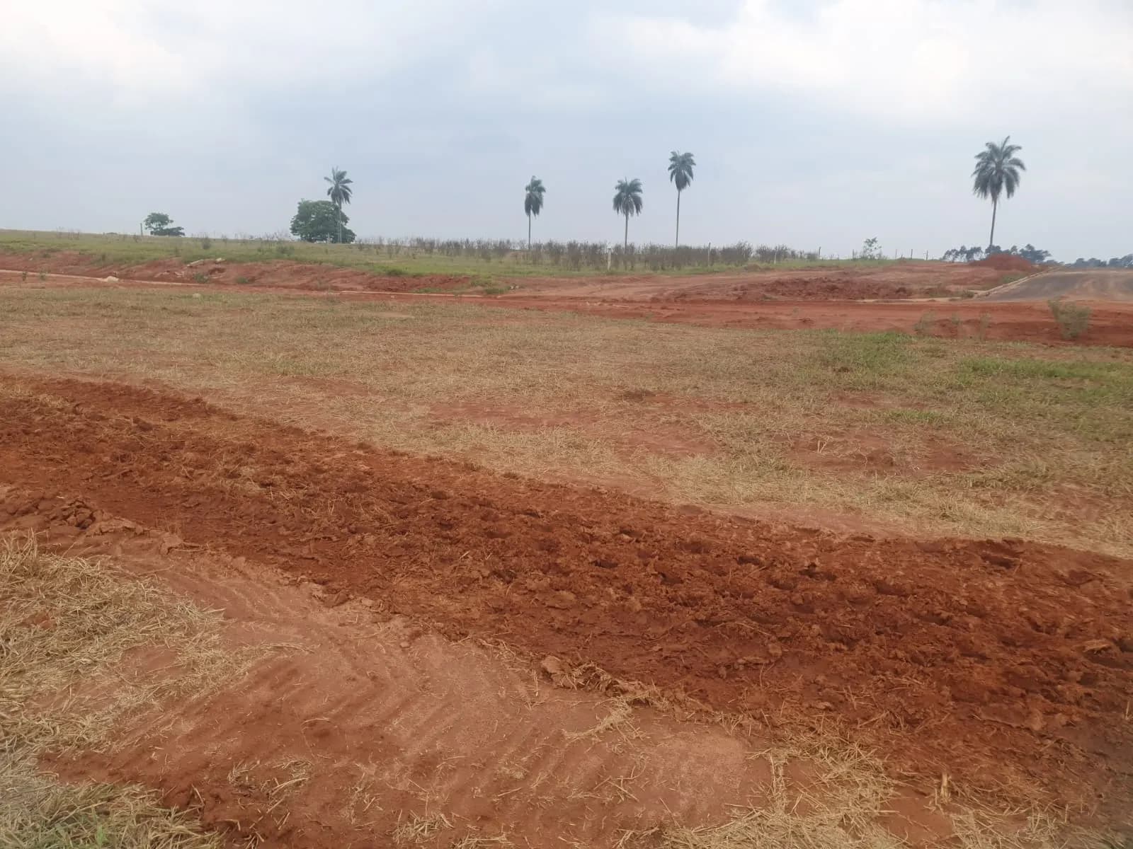 Terreno Urbano – 250 m² – Lote 42 Quadra K – Marília/SP, foto 3