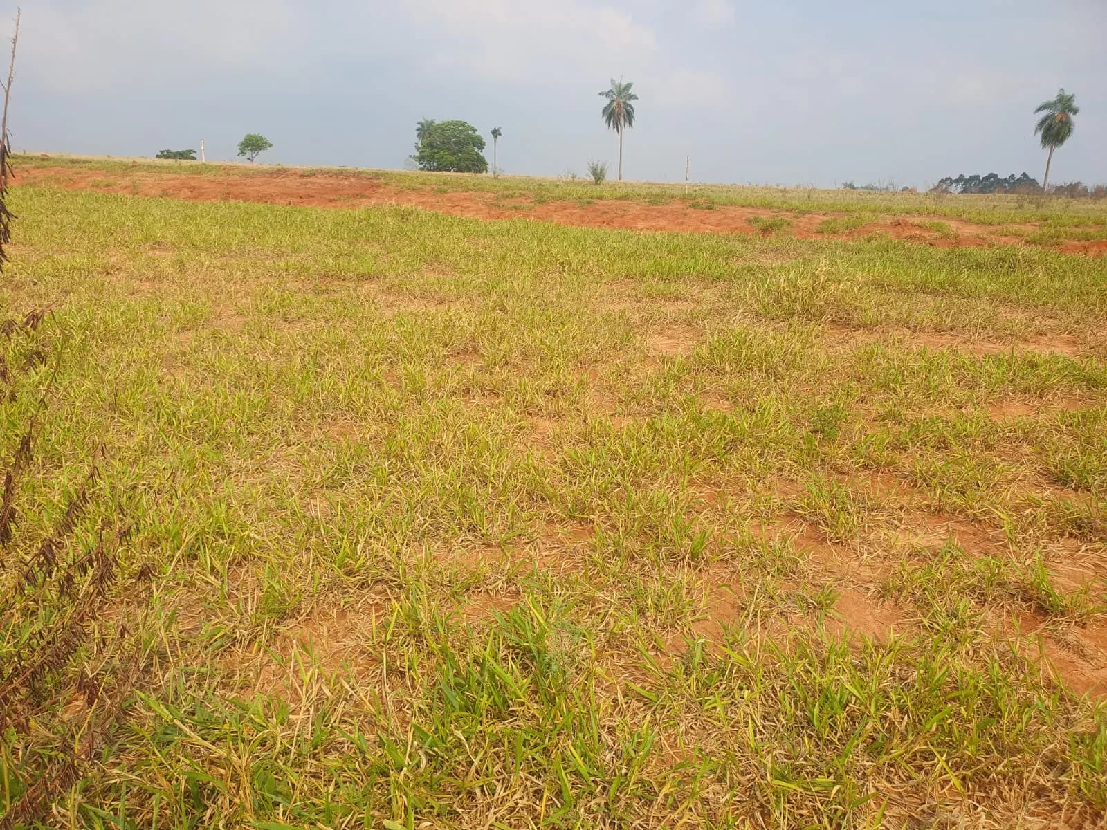 Terreno Urbano – 250 m² – Lote 03 Quadra U – Marília/SP, foto 3