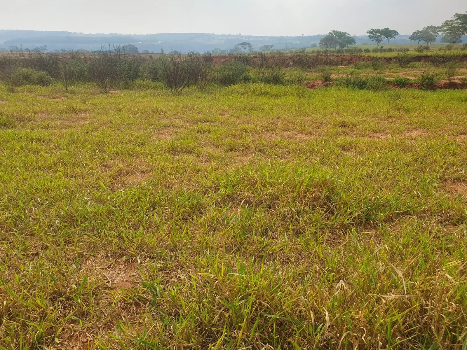 Terreno Urbano – 250 m² – Lote 03 Quadra U – Marília/SP, foto 5