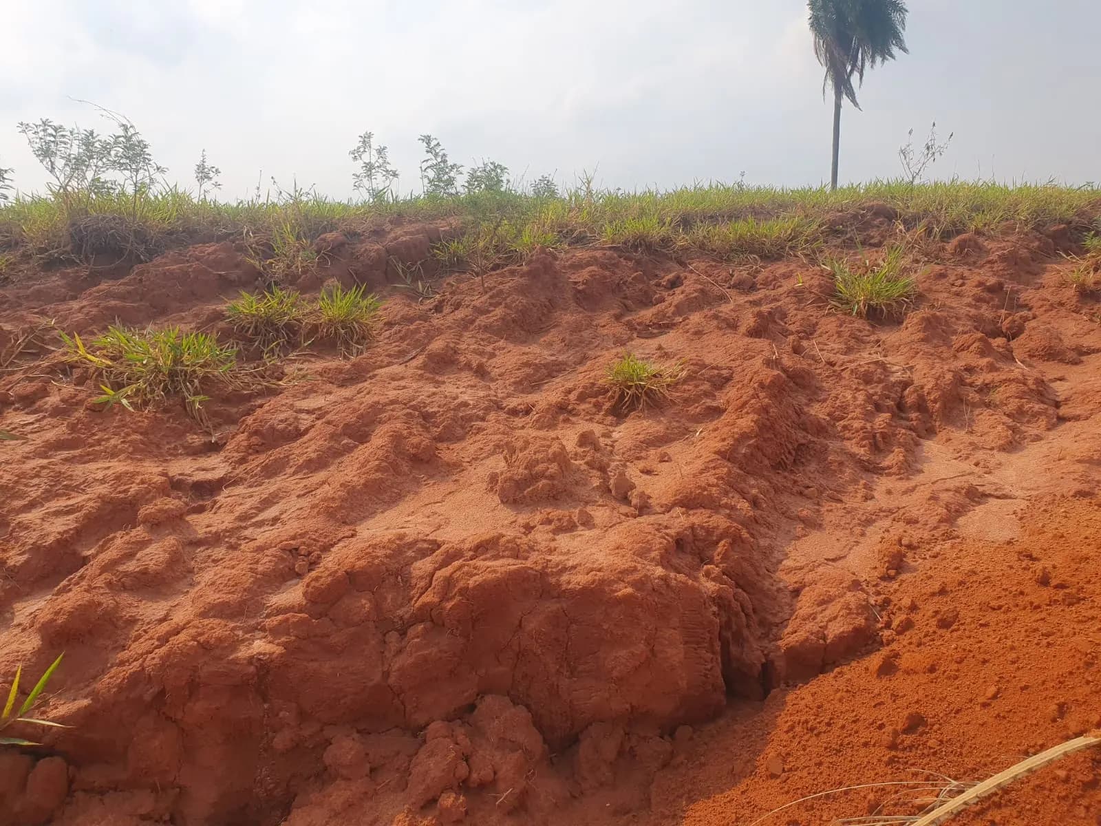 Terreno Urbano – 250 m² – Lote 10 Quadra U – Marília/SP